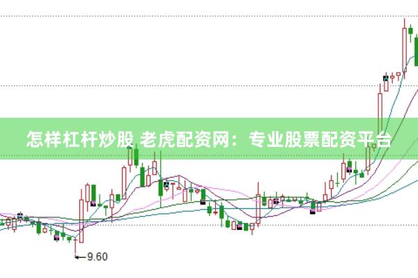 怎样杠杆炒股 老虎配资网：专业股票配资平台