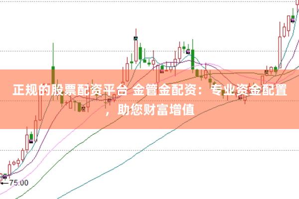 正规的股票配资平台 金管金配资：专业资金配置，助您财富增值