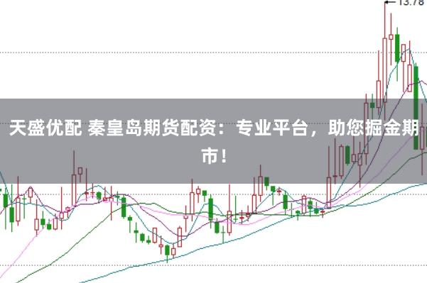 天盛优配 秦皇岛期货配资：专业平台，助您掘金期市！