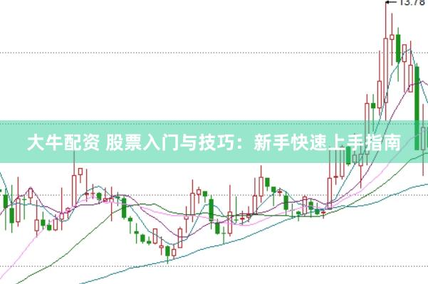 大牛配资 股票入门与技巧：新手快速上手指南