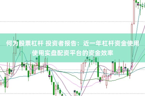 何为股票杠杆 投资者报告：近一年杠杆资金使用使用实盘配资平台的资金效率