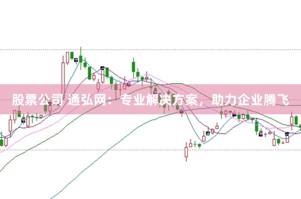股票公司 通弘网：专业解决方案，助力企业腾飞