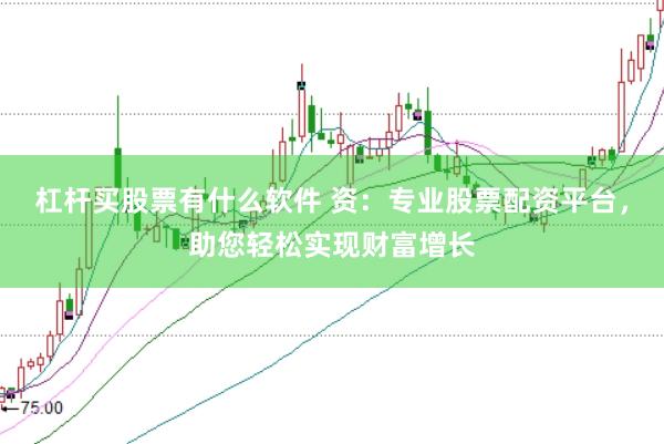 杠杆买股票有什么软件 资：专业股票配资平台，助您轻松实现财富增长