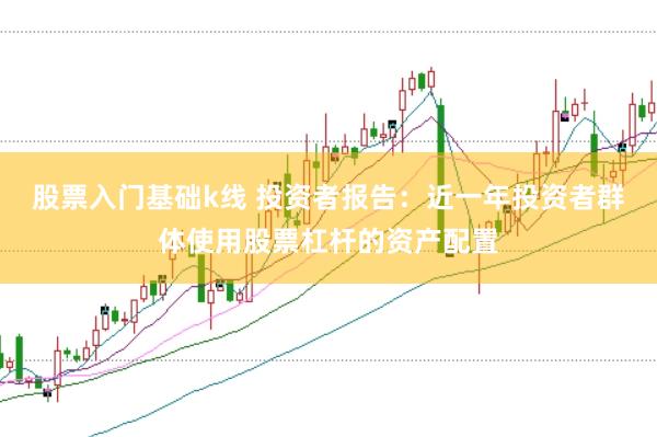 股票入门基础k线 投资者报告：近一年投资者群体使用股票杠杆的资产配置