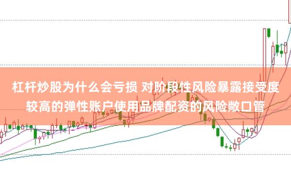 杠杆炒股为什么会亏损 对阶段性风险暴露接受度较高的弹性账户使用品牌配资的风险敞口管