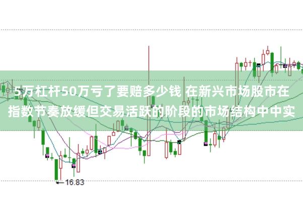5万杠杆50万亏了要赔多少钱 在新兴市场股市在指数节奏放缓但交易活跃的阶段的市场结构中中实