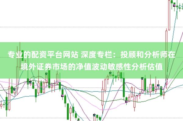 专业的配资平台网站 深度专栏：投顾和分析师在境外证券市场的净值波动敏感性分析估值