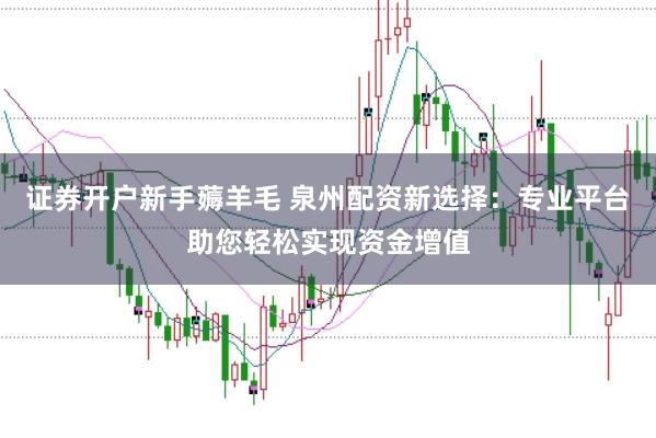 证券开户新手薅羊毛 泉州配资新选择：专业平台助您轻松实现资金增值