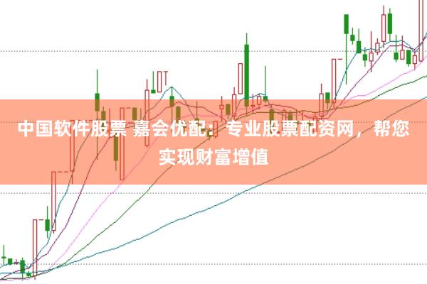 中国软件股票 嘉会优配：专业股票配资网，帮您实现财富增值