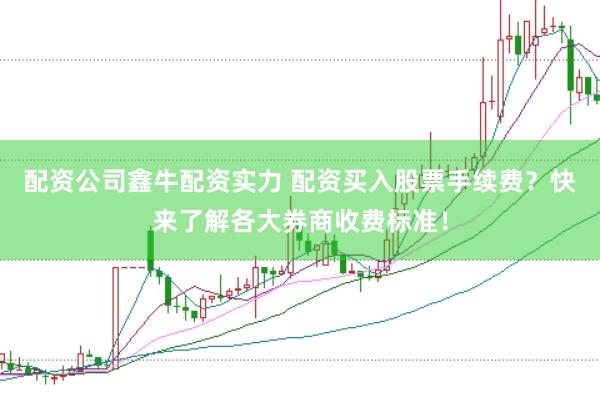 配资公司鑫牛配资实力 配资买入股票手续费？快来了解各大券商收费标准！